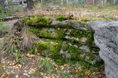 Göl Arakul sonbahar orman