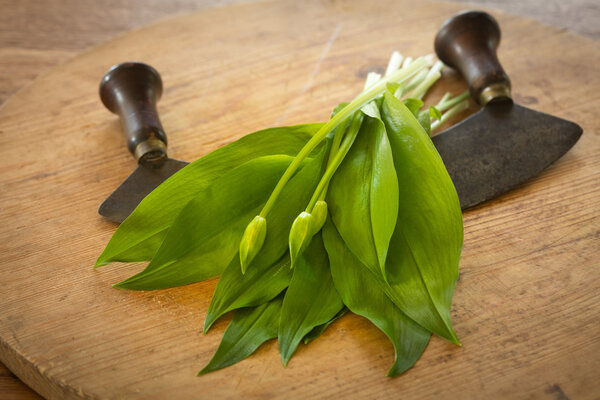 Fresh ramsons on a wooden plate