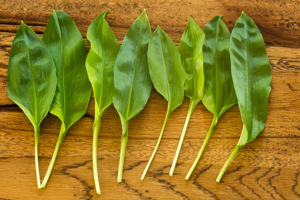 Fresh ramsons on a wooden plate Royalty Free Stock Images