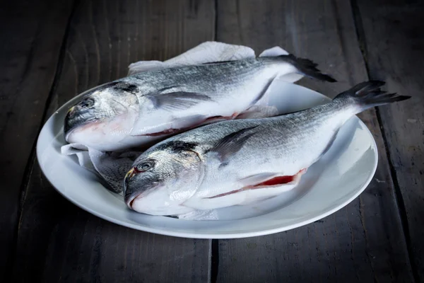 Two fresh gilthead — Stock Photo, Image