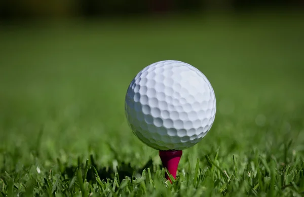 Pallone da golf su tee — Foto Stock