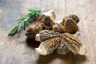 Fresh Morelle Mushrooms clipart