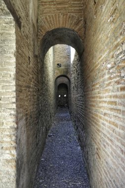 Pompeii İtalya Napoli harabeleri