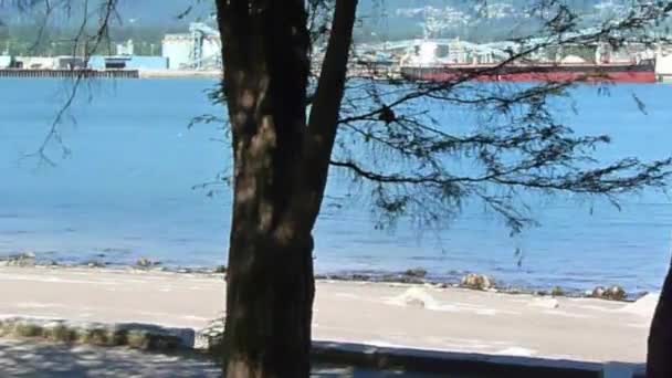 Вид на Ванкувер с верховой езды в парке Стэнли в солнечный день. — стоковое видео