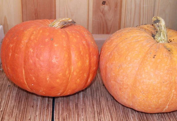 Calabazas Maduras Sobre Mesa Madera — Foto de Stock