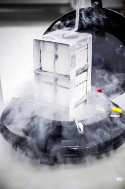 Laboratuvarda sıvı nitrojen buharı ile donduran sperm deposuna yakın çekim.