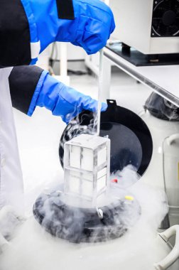 Laboratuvarda sıvı nitrojenle sperm dondurucu depolama işini yakın plan bilim adamı hallediyor.