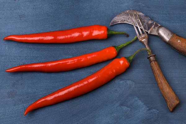 Három Piros Chili Paprika Kék Alapon — Stock Fotó