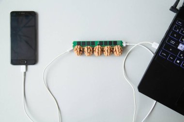 Ceviz çekirdeğine yerleştirilen RAM, dizüstü bilgisayarı ve akıllı telefonu gri arkaplandaki kablolar aracılığıyla kontrol eder
