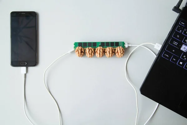 Ceviz çekirdeğine yerleştirilen RAM, dizüstü bilgisayarı ve akıllı telefonu gri arkaplandaki kablolar aracılığıyla kontrol eder