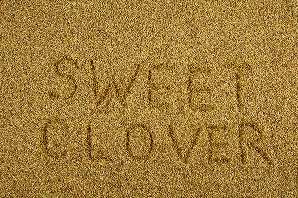 Γλυκό Φόντο Σπόρων Τριφύλλι Λέξη Sweet Clover Φυτά Μελιού — Φωτογραφία Αρχείου