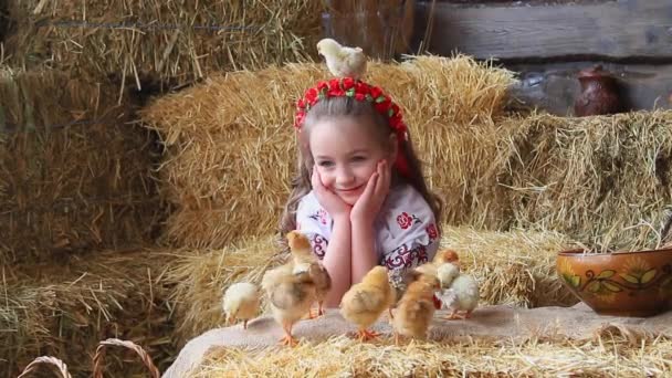 6歳の白い少女が 頭に花輪と鶏を刺繍したシャツを着ていた わらの俵に座り 鶏と遊ぶ ハッピー イースター — ストック動画
