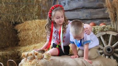 Beyaz erkek ve kız, çuval bezinin üzerinde tavuklarla ve öpücüklerle saman balyalarının üzerinde oturuyor. Mutlu Paskalyalar