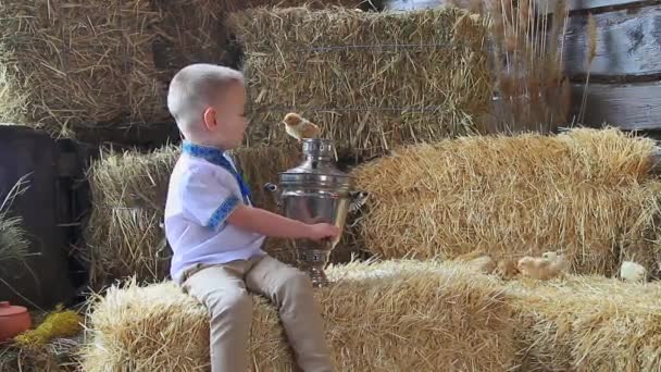 一个很酷的男孩在一捆干草上拿着萨莫瓦和小鸡玩耍 复活节快乐 — 图库视频影像