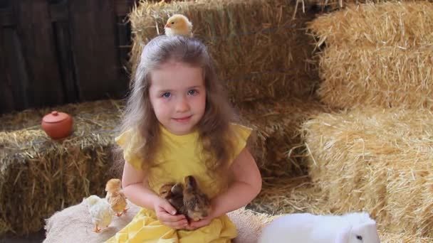 Pětiletá Běloška Žlutých Šatech Balících Slámy Hraje Kuřaty Bílým Králíkem — Stock video