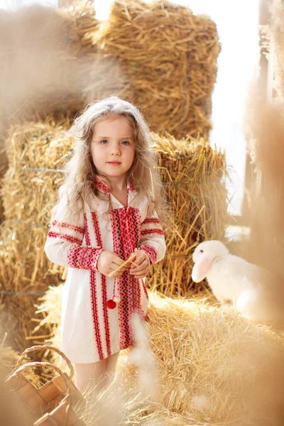 Una Hermosa Niña Linda Pelo Rizado Camisa Bordada Ucraniana Está — Foto de Stock