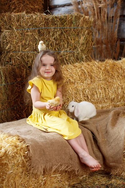 Little girl in a yellow dress in Easter decorations on straw bales plays with a white rabbit and chickens