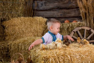 Ukrayna halk kostümü giymiş bir çocuk saman balyalarında tavuklarla oynuyor. Mutlu Paskalyalar