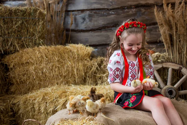 Дівчина Українському Народному Костюмі Грає Курчатами Тюках Соломи Щасливого Великодня — стокове фото