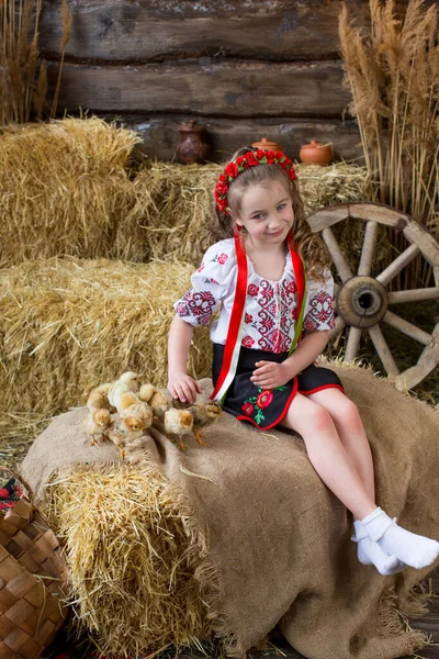 Girl Ukrainian Folk Costume Plays Chickens Bales Straw Happy Easter — Stock Photo, Image