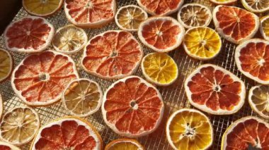 Drying lemons, oranges and grapefruits in a solar dryer. Dried fruit production