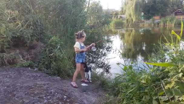 Fyraårig Flicka Fiskar Floden Svart Och Vit Katt Hjälper Henne — Stockvideo
