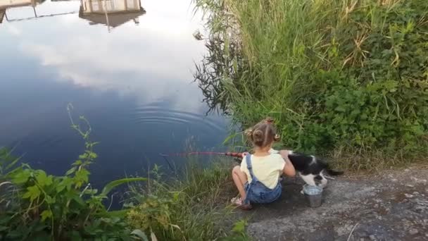 Ein Vierjähriges Mädchen Angelt Auf Dem Fluss Schwarz Weiße Katze — Stockvideo