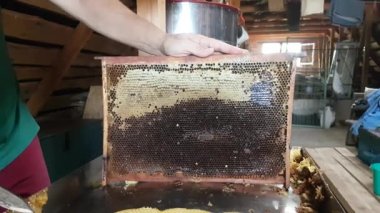 Elektrikli bıçakla bal peteğinin kapaklarını kesmek. Çerçeveyi bal pompalamaya hazırlıyorum.