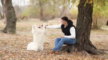 Genç bir adam sonbahar parkında pofuduk Samoyed 'ini besliyor.