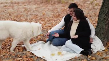 Genç bir çift ve Samoyed köpeği pikniğe gittiler.