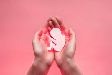 Kadın avuç içleri birbirine bastırılmış ve kağıt embriyosu tutulmuş. Pastel pembe arkaplan.