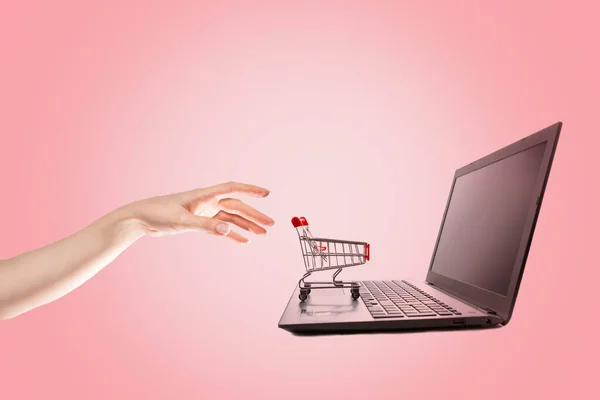 Shopping. A woman\'s hand reaches for a mini grocery cart on her laptop. Pink background. Copy space. The concept of online shopping.