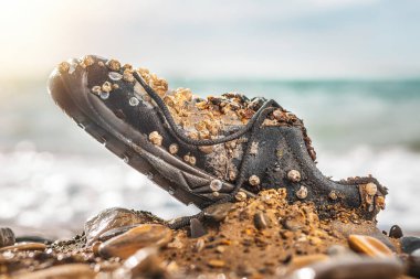 Çevre koruma ve kirlilik kavramı. Deniz kabuklarıyla kaplı eski bir ayakkabı kumsalda, kumda yatıyor. Arka planda, okyanus dalgaları. Kapat..