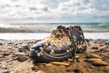 Çevre koruma ve kirlilik kavramı. Deniz kabuklarıyla kaplı eski bir ayakkabı kıyıda yatıyor. Arka planda, okyanus dalgaları. Boşluğu kopyala ve kapat.