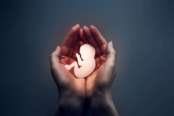 Palmas Das Mulheres Pressionadas Juntas Mantêm Embrião Papel Fundo Escuro — Fotografia de Stock
