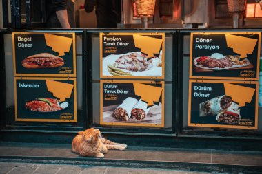 21.12.2019, İstanbul, Türkiye. Kızıl kedi kafenin etrafında trattare üzerinde yatıyor ve Shawarma 'ya bakıyor. Aç başıboş hayvan kavramı.