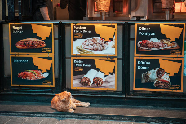 21.12.2019, Istanbul, Turkey. Red cat lies on trattare around the cafe and looking at the is Shawarma. Concept of hungry stray animals.
