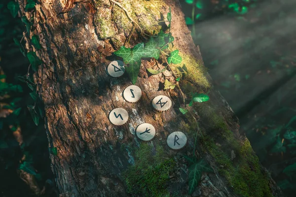 Trunk Tree Covered Ivy Wooden Scandinavian Runes Mystic Light Concept — Stock Photo, Image