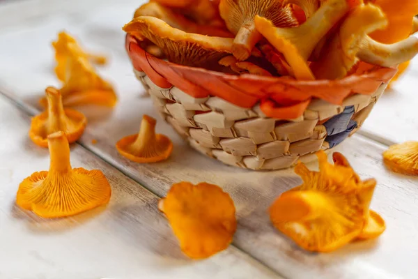 Orange Mushrooms Chanterelles Wicker Basket White Wooden Table Close — Stock Photo, Image