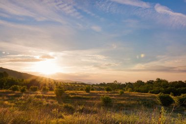 Manzara gün batımında zeytin korulukları güzeldir..