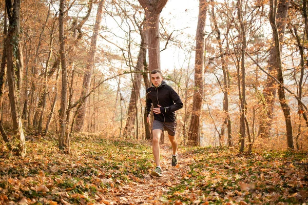 The concept of sports and cross-country running. A man in sports clothes is engaged in intensive running on forest paths. The trunks of the trees in the background.