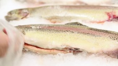 Buzun üzerinde duran balık gökkuşağı alabalığı taze mi diye kontrol edilir. Yakın çekim görünümü.