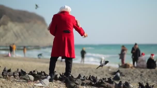 Starší Žena Červeném Plášti Krmí Holuby Pláži Zadní Pohled — Stock video