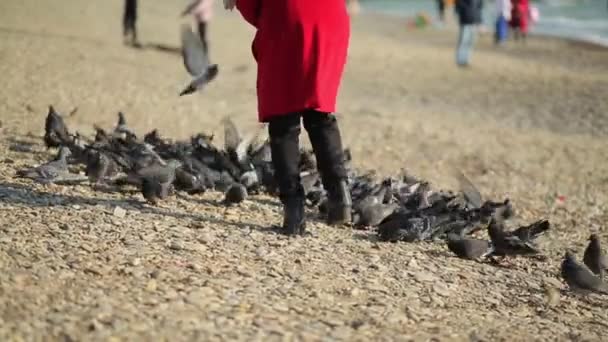 Eine Ältere Frau Roten Mantel Füttert Tauben Strand Rückansicht Beine — Stockvideo