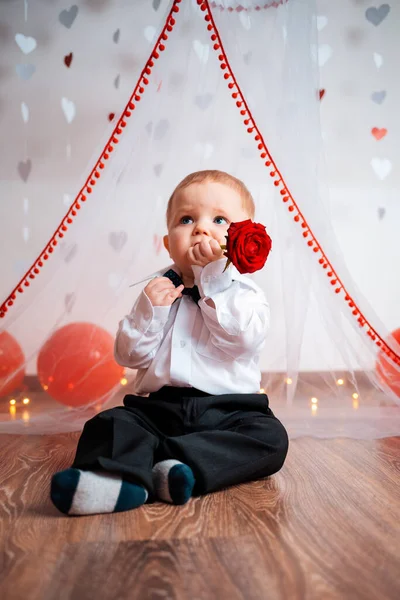 Little Baby Boy Sitting Eating Red Rose Vertical Background White — Stock Photo, Image