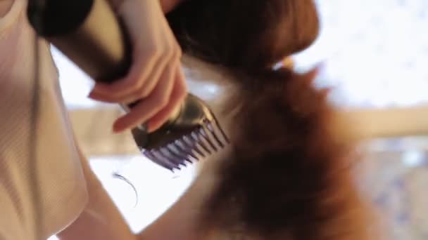 Pielęgnacja Włosów Młoda Kobieta Grzebie Suszy Długie Ciemne Włosy Specjalną — Wideo stockowe