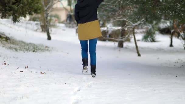 Young Woman Walks Snow Covered Park Shakes Spruce Branch Snow — Stock Video