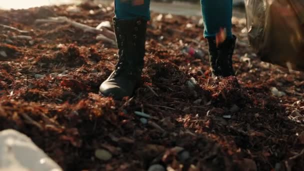 Concept World Day Earth Volunteer Walks Dirty Beach Rubber Gloves — Stock Video