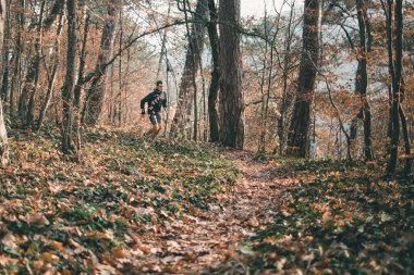 Spor ve sağlıklı yaşam tarzı kavramı. Spor elbiseli genç bir adam sonbahar ormanlarında ya da parkta koşuya çıkar. Uzakta siluet.