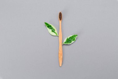Sıfır kayıp. Yapraklı bambu diş fırçası. Gri arka plan. Düz yatıyordu. Çevre dostu diş fırçası kavramı.